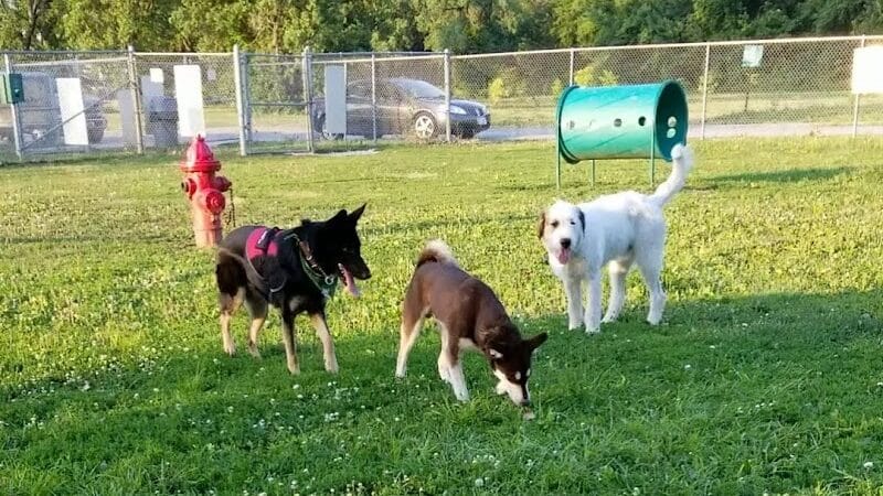 Dempsey Dog Park - Hannibal, MO