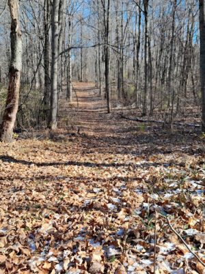 Haver Ridge Metro Park