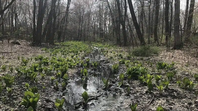 Hartville Memorial Park - Hartville, OH