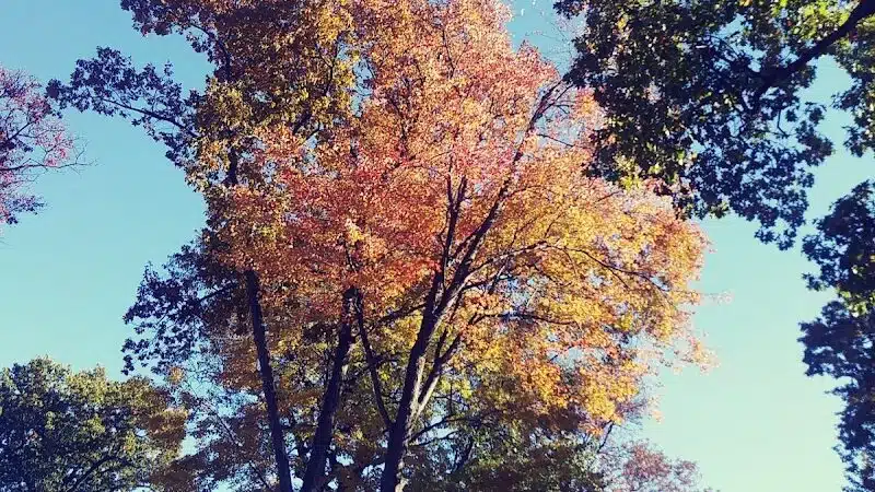 Hartville Memorial Park - Hartville, OH