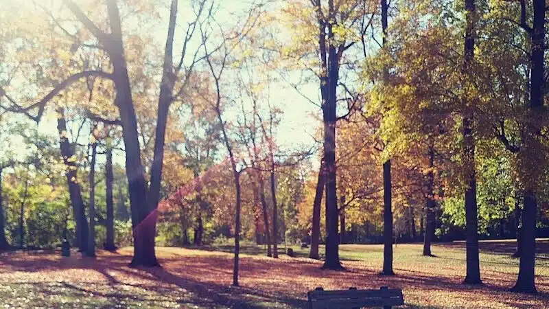 Hartville Memorial Park - Hartville, OH