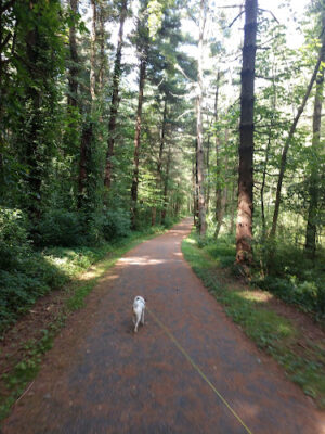 Quail Hollow Park
