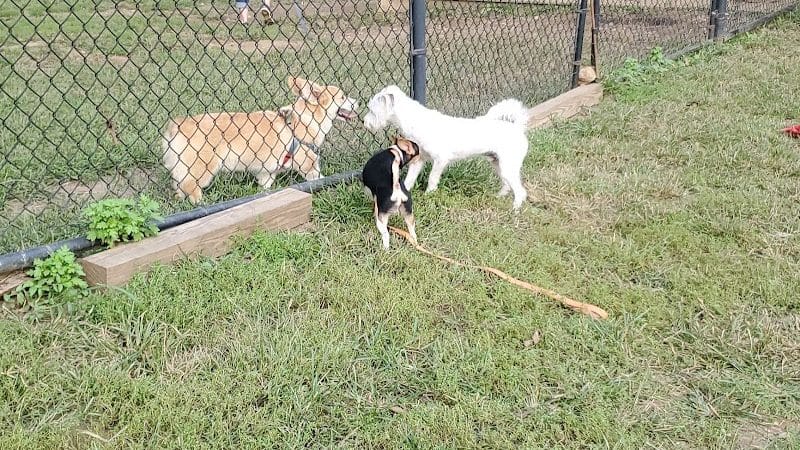 Haverford Reserve Dog Park - Haverford, PA