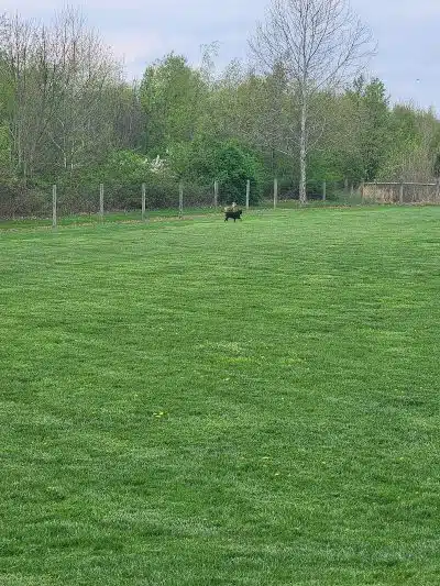 Heritage Trail Park - Hilliard, OH