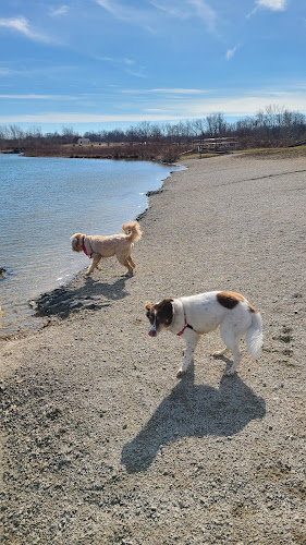 Prairie Oaks Dog Beach
