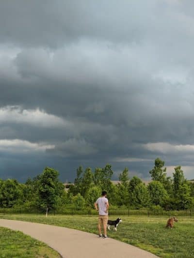 Spindler Dog Park - Hilliard, OH
