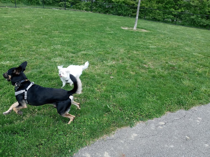 Spindler Dog Park - Hilliard, OH