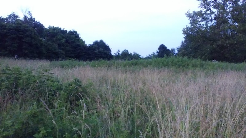 Ridgeview Farm - Hillsboro, OH
