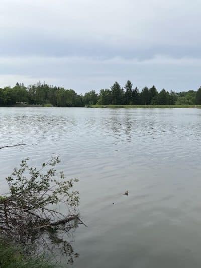Hinckley Lake Trail Loop - Hinckley, OH