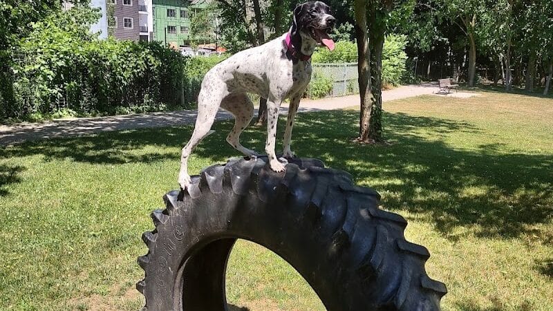 Dog Park at Van Raalte Farm Park - Holland, MI