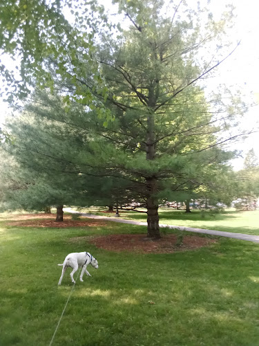 Strawberry Acres Park