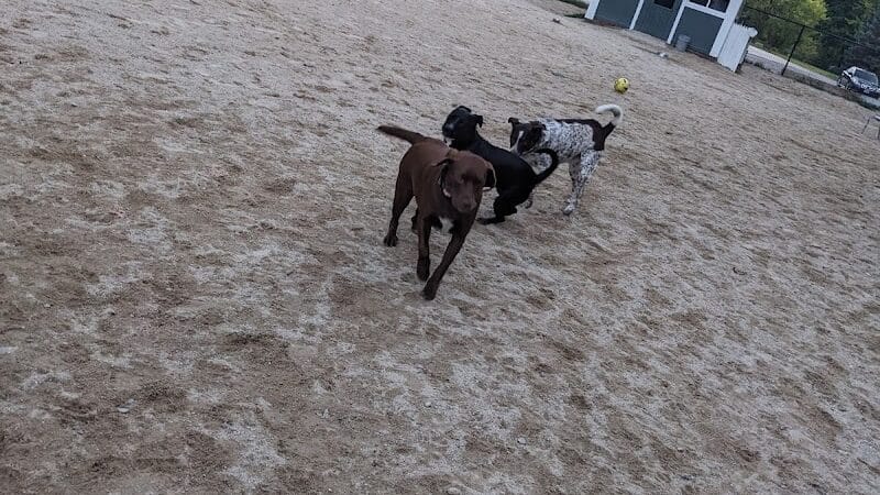 Hooksett Dog Park - Hooksett, NH