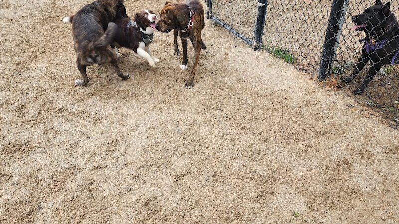 Hooksett Dog Park - Hooksett, NH
