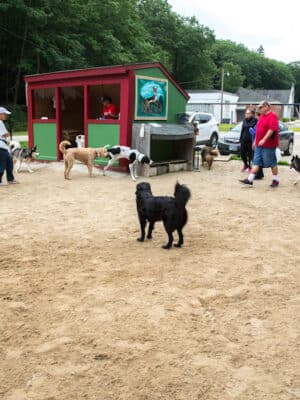 Hooksett Dog Park