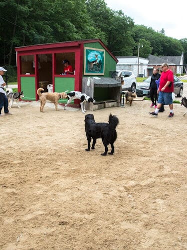 Hooksett Dog Park