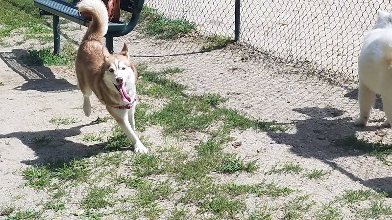 Hooksett Dog Park - Hooksett, NH