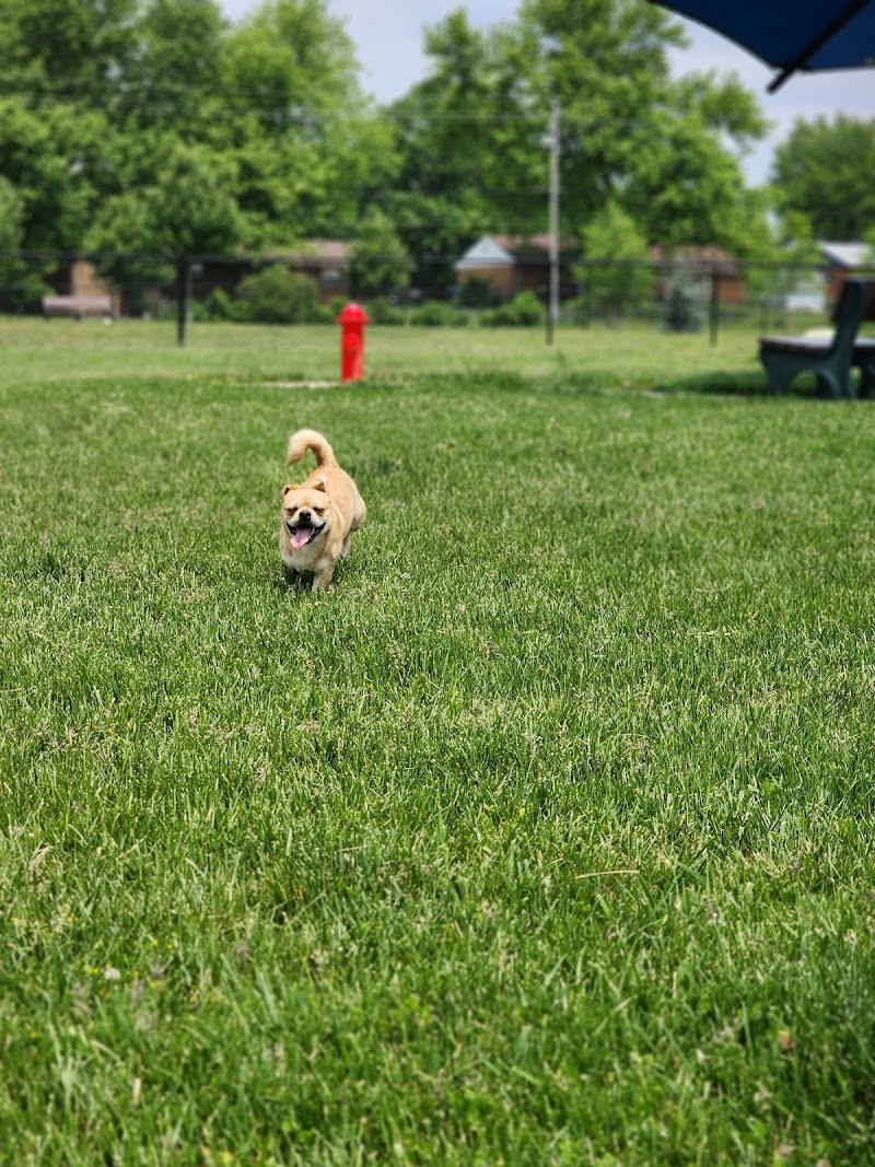 Kitty Hawk/Menlo Dog Park - Huber Heights, OH