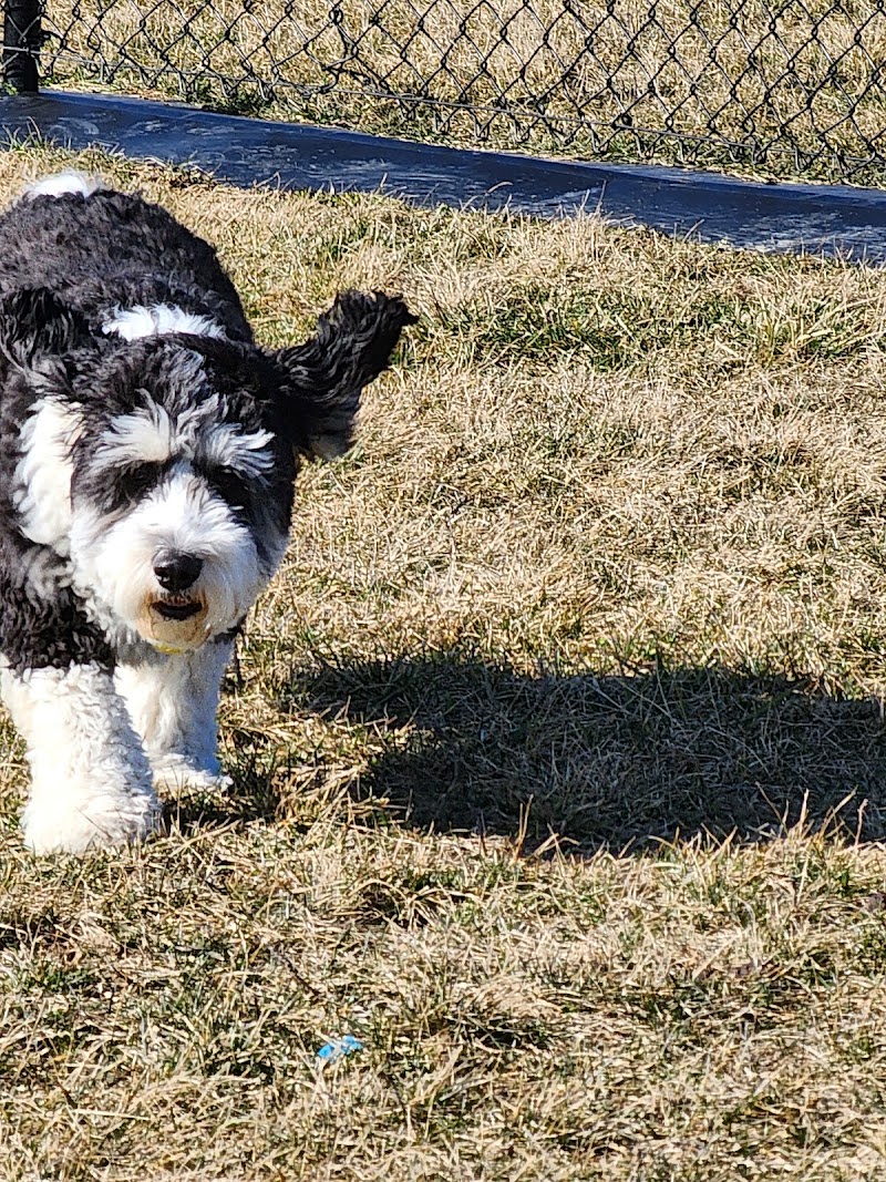 Kitty Hawk/Menlo Dog Park - Huber Heights, OH