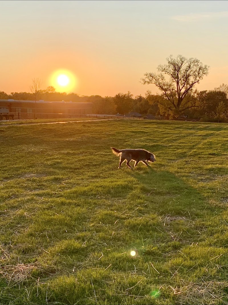 Kitty Hawk/Menlo Dog Park - Huber Heights, OH