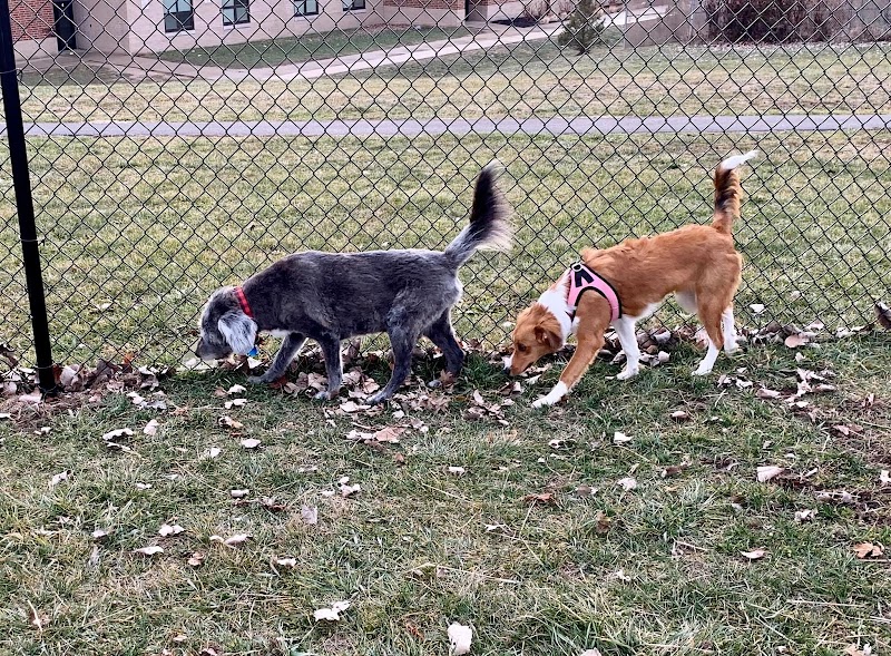 Kitty Hawk/Menlo Dog Park - Huber Heights, OH