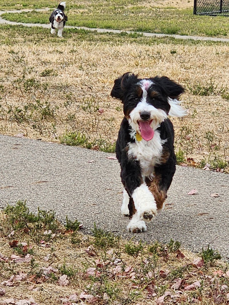 Kitty Hawk/Menlo Dog Park - Huber Heights, OH