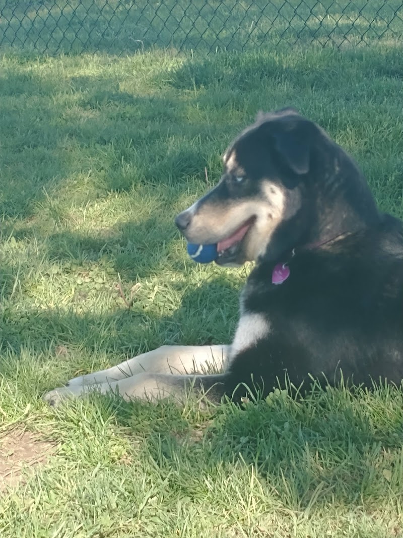 Kitty Hawk/Menlo Dog Park - Huber Heights, OH