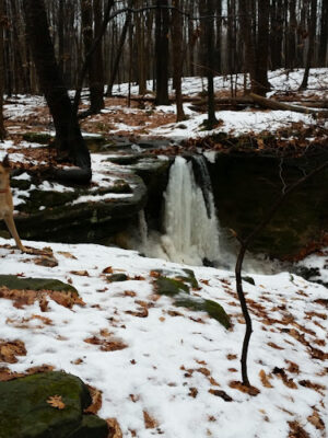 Cascade Park