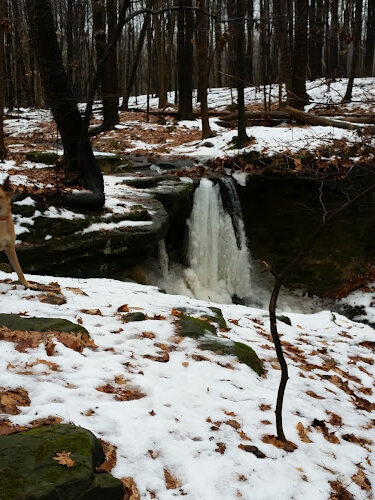 Cascade Park