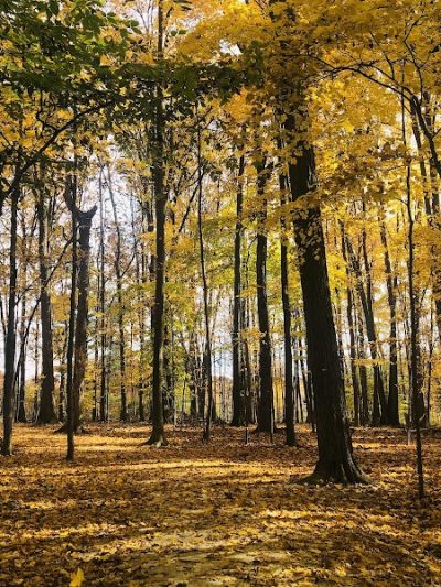 Cascade Park - Hudson, OH