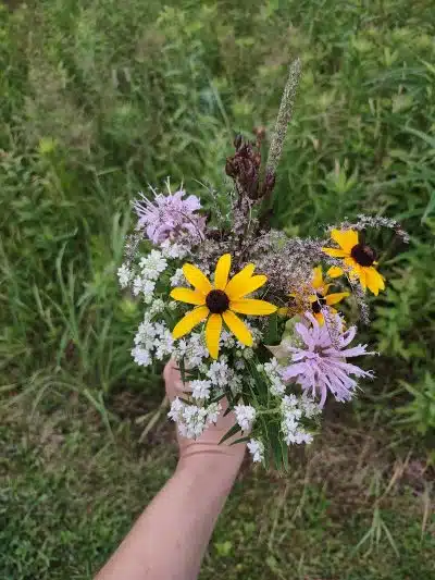 Darrow Road Park - Hudson, OH
