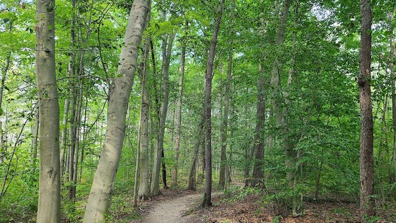 Downy Loop Trail - Hudson, OH