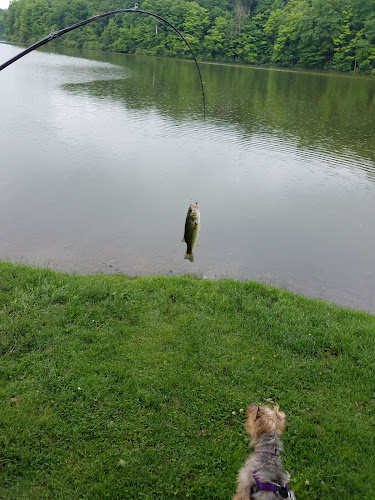 Hudson Springs Park