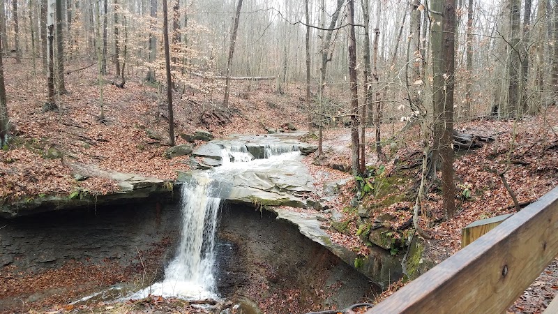 Maple Grove Park - Hudson, OH