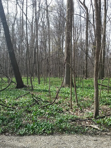 Maple Grove Park