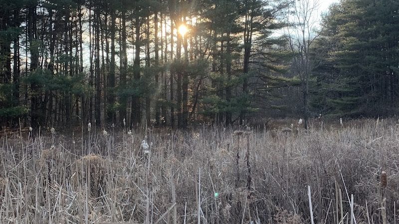Maple Grove Park - Hudson, OH