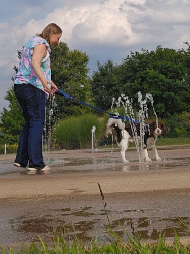 Veterans Way Park Playground