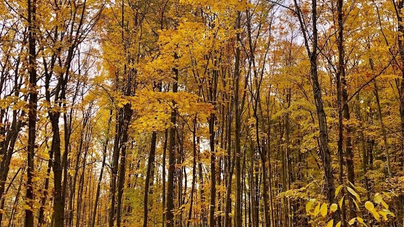 Wood Hollow Metro Park - Hudson, OH