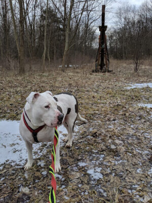 Wood Hollow Metro Park