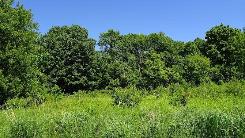 Wood Hollow Metro Park - Hudson, OH