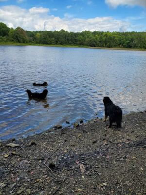 Headwaters Park