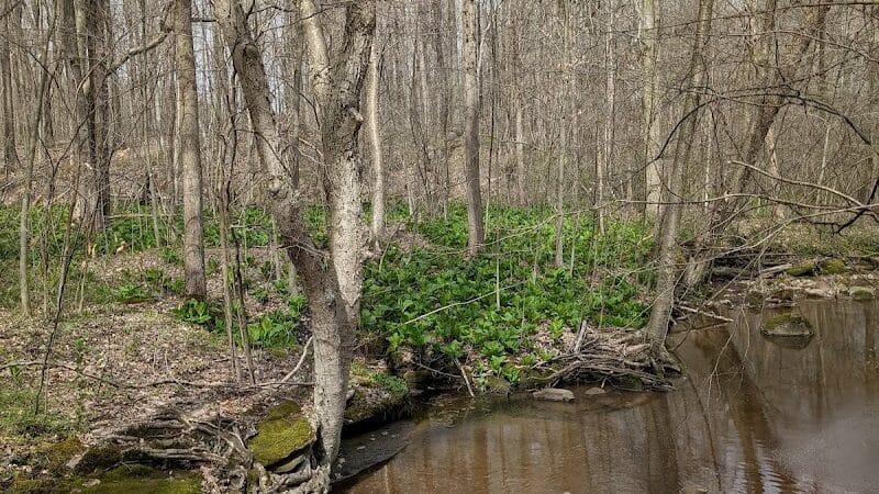 Headwaters Park - Huntsburg, OH