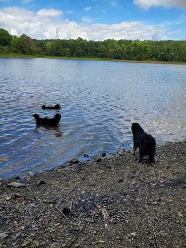 Headwaters Park