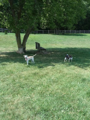Erie Metro Bark Park - Huron, OH