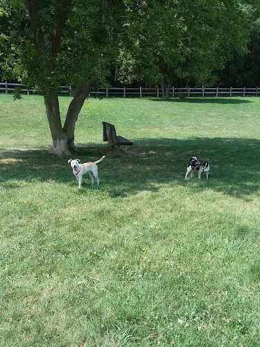 Erie Metro Bark Park - Huron, OH