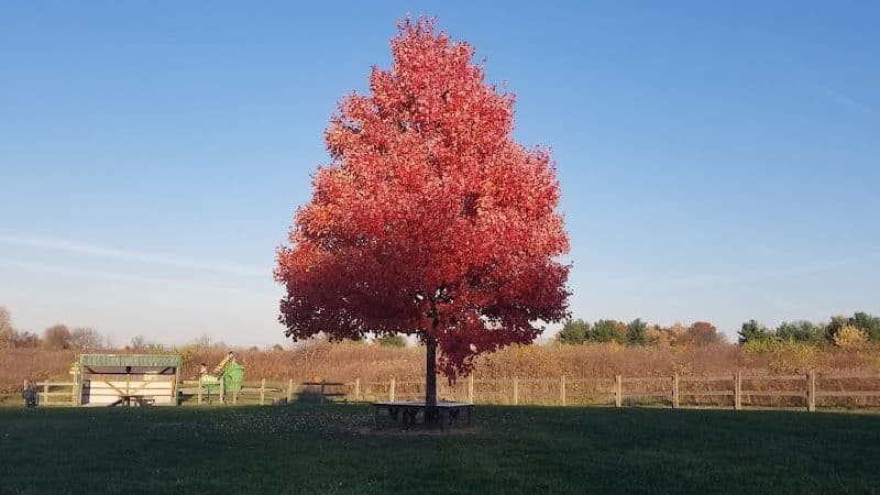 Erie Metro Bark Park - Huron, OH - Huron, OH
