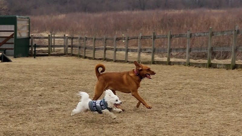 Erie Metro Bark Park - Huron, OH - Huron, OH