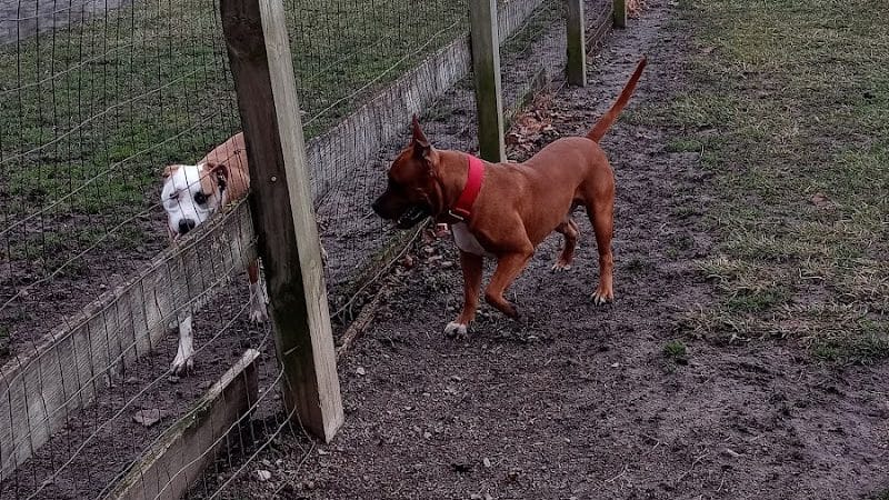 Erie Metro Bark Park - Huron, OH - Huron, OH
