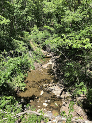 Hemlock Creek Trail - West Creek Conservancy