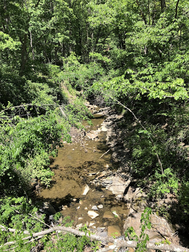 Hemlock Creek Trail - West Creek Conservancy