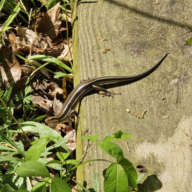 Botkins Park - Jackson Center, OH